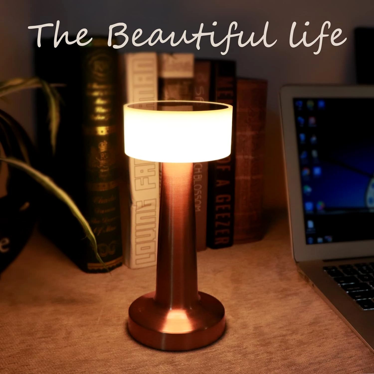 LED Lamp with Touch Control | Decorative Desk Lamp, Portable Metal LED Table Lamp, USB Rechargeable, 3 Color, 3 Levels Brightness, Dimmable Eye Protection Modern Lamp for Home Decor Party Kids Room Bedroom (1 Pc)