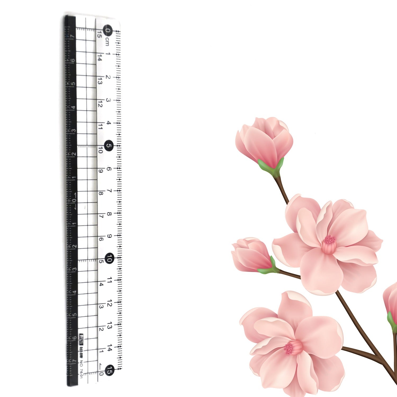 7921 TRANSPARENT RULER, PLASTIC RULERS, FOR SCHOOL CLASSROOM, HOME, OR OFFICE (15 Cm)